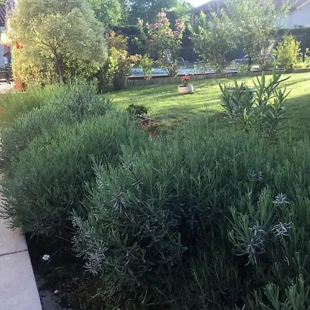 Maison Au Calme Au Bord Des Bois Saint-Aubin-de-Médoc